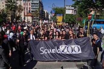 'PalermoChiamaItalia' e ScuolaZoo risponde per dire no alla mafia 'PalermoChiamaItalia' e ScuolaZoo risponde per dire no alla mafia